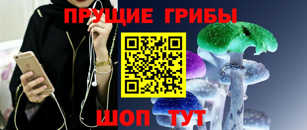 Красноуфимск  Псилоцибиновые грибы Psilocybine cubensis  Вход с VPN  Псилоцибиновые грибы Psilocybe 